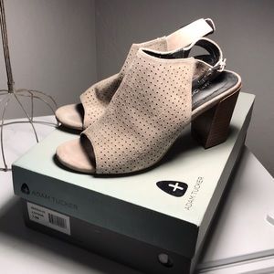 Adam Tucker heels
